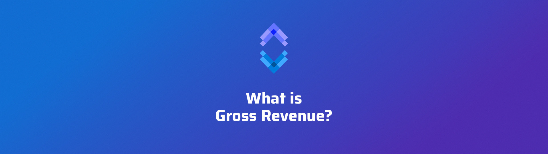 What is Gross Revenue